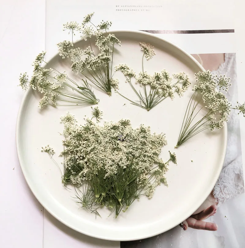 5-7cm/12pcs,Snow Tiny Flowers  - огляд і ціна Dried Flower Bulk