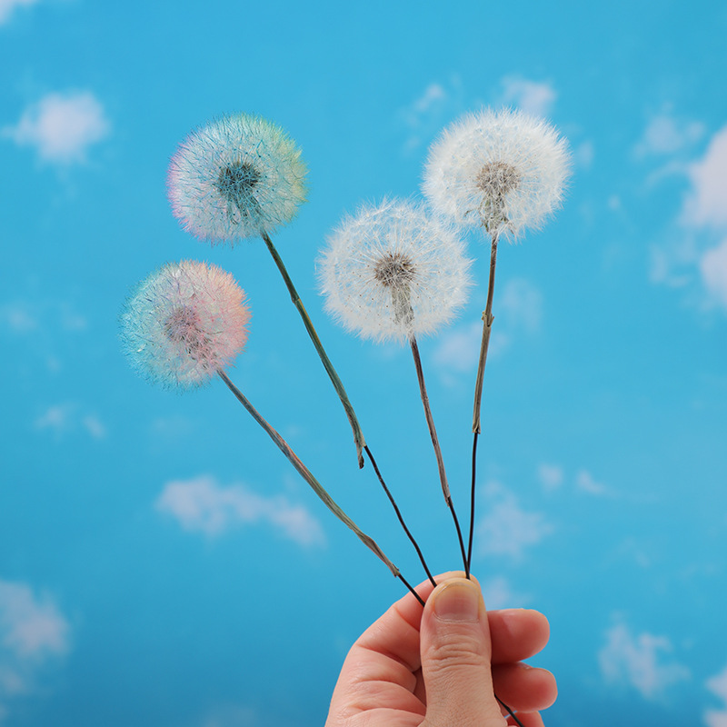 Preserved Dandelion DIY Epoxy  - огляд і ціна Resin Crafts